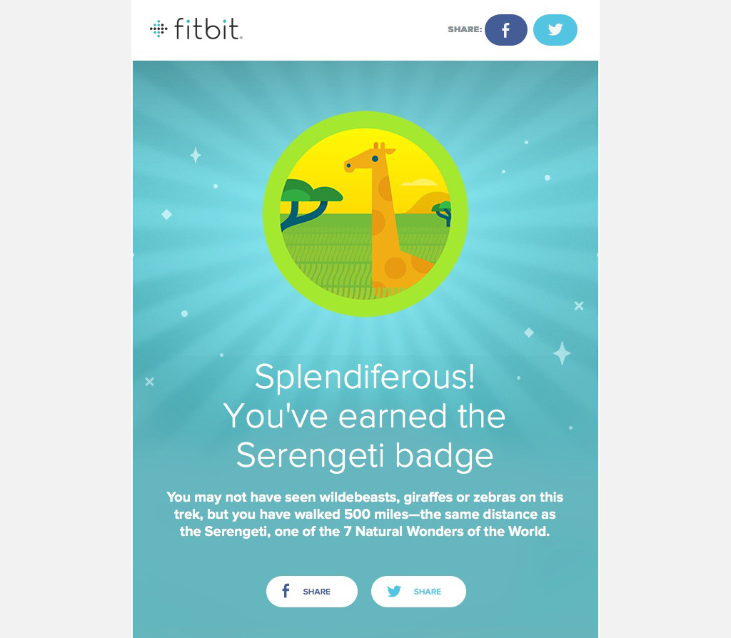 Fitbit well done email